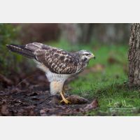 4715 x 3143_Px _RM_131126_MG_1637.jpg