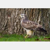 4788 x 3192_Px _RM_131126_MG_1556.jpg