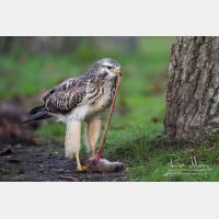 5022 x 3348_Px _RM_131126_MG_1787.jpg