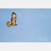 5184 x 3456_Px _RM_120517_MG_8216.jpg