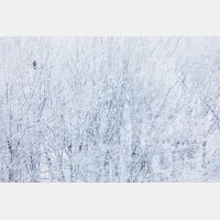 6720 x 4480 Px   _RM_200123_D4_0995.jpg