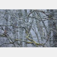 6720 x 4480 Px   _RM_200123_D4_9561.jpg