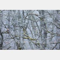 6720 x 4480 Px   _RM_200123_D4_9569.jpg