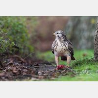 7945 x 5297_Px _RM_131126_MG_1973_b.jpg