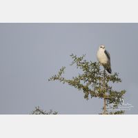 4370 x 2913_Px _RM_140307_MG_1523.jpg