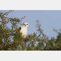 4635 x 3090_Px _RM_140307_MG_1572.jpg