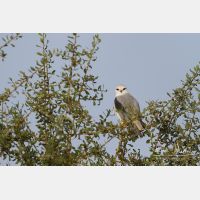 4747 x 3164_Px _RM_140307_MG_1552.jpg