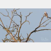 4800 x 3200 Px   _RM_190306_Q4A2198.jpg