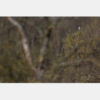 4894 x 3263 Px   _RM_190306_Q4A2343.jpg