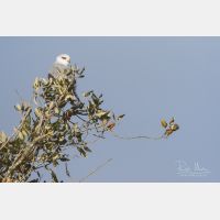 5472 x 3648 Px   _RM_190129_Q4A0527.jpg