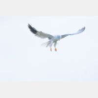 5472 x 3648 Px   _RM_190129_Q4A0686.jpg