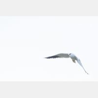 5472 x 3648 Px   _RM_190129_Q4A0738.jpg