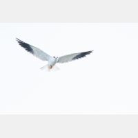 5472 x 3648 Px   _RM_190129_Q4A0741.jpg