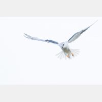 5472 x 3648 Px   _RM_190129_Q4A0779.jpg