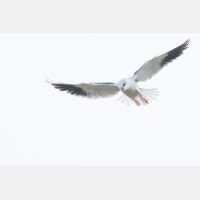 5472 x 3648 Px   _RM_190129_Q4A0781.jpg