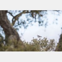 5472 x 3648 Px   _RM_190129_Q4A0806.jpg