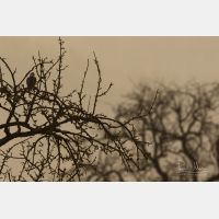 5472 x 3648 Px   _RM_190306_Q4A2247.jpg