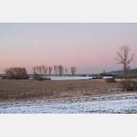 4468 x 2979 Px   _RM_200206_D4_8972.jpg