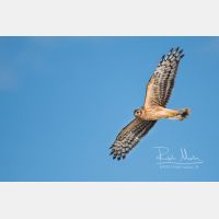 4639 x 3092 Px   _RM_201023_SKL3449.jpg