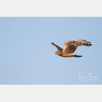 4809 x 3206_Px _RM_111015_MG_4978.jpg