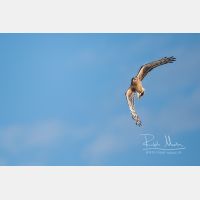 5355 x 3570 Px   _RM_201023_SKL3445.jpg