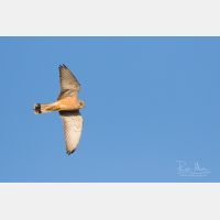 5472 x 3648 _Px_RM_190128_Q4A9643.jpg