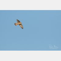 5472 x 3648 _Px_RM_190128_Q4A9650.jpg