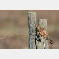 5472 x 3648 _Px_RM_190128_Q4A9814.jpg