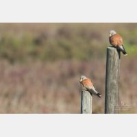 5472 x 3648 _Px_RM_190128_Q4A9818.jpg