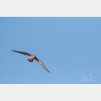 5472 x 3648 _Px_RM_190128_Q4A9834.jpg