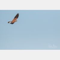 5472 x 3648 _Px_RM_190128_Q4A9847.jpg