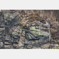 4125 x 2750_Px _RM_170209_MG_4606.jpg