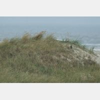 4586 x 3058 Px   _RM_190915_D2_1585.jpg