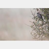 4878 x 3252 Px   _RM_191024_D2_4647.jpg