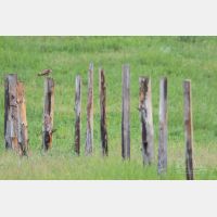 5040 x 3360 Px   _RM_190626_D2_9306.jpg