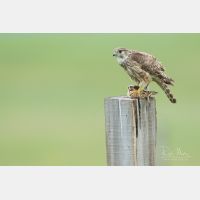 5048 x 3365 Px   _RM_190626_D2_9137.jpg