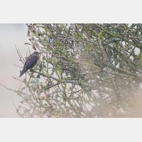 5182 x 3455 Px   _RM_191024_D2_4640.jpg