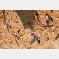 3169 x 2112_Px _RM_110420_MG_1111.jpg