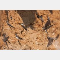 3480 x 2320_Px _RM_110420_MG_0981.jpg