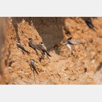 3582 x 2388_Px _RM_110420_MG_0958.jpg