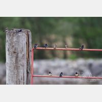 5150 x 3433_Px _RM_120518_MG_8562.jpg