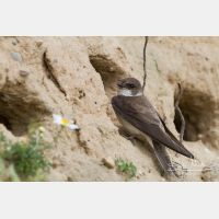 5184 x 3456_Px _RM_130628_MG_0174.jpg