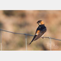 2809 x 1873_Px _RM_090402_MG_0666.jpg