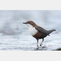 3444 x 2296_Px _RM_110108_MG_6745.jpg