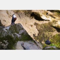 4374 x 2916_Px _RM_150410_MG_3527.jpg