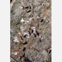 4480 x 6720 Px   _RM_190501_D4_4697.jpg