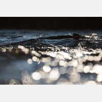 5078 x 3386 Px   _RM_200121_D4_9271.jpg