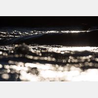 5098 x 3399 Px   _RM_200121_D4_9252.jpg