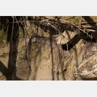 5472 x 3648_Px _RM_150410_MG_3640.jpg