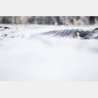 5848 x 3898 Px   _RM_200122_D4_9503.jpg